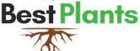 bestplants-2